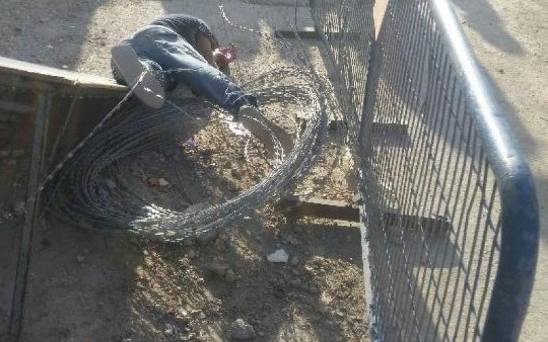 14364698_1550986138277134_3121027907038573683_n