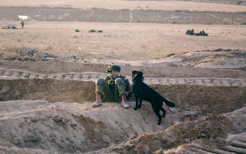 14655441320_0bdd92481e_k