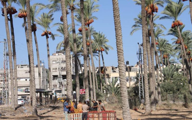 14570499_641672502668968_3577715849898890400_n