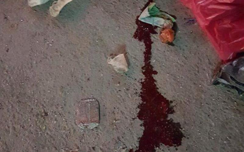 14256595_1348912681804584_5991691_n