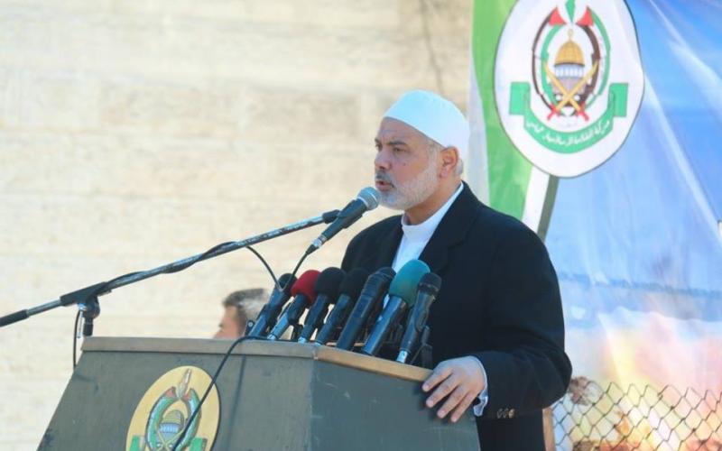 12992128_1016823931734063_1656841963_n