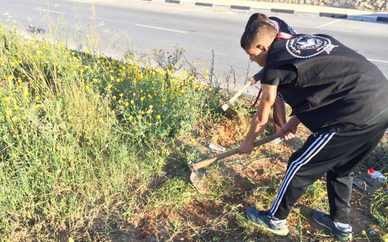 12952707_1073587766038513_836571571_o