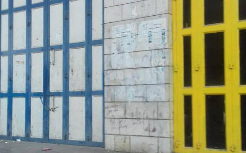 14639882_1611856345523446_6646716266187603858_n