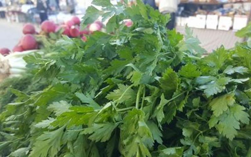 16809446_10212224364468378_1144052713_n