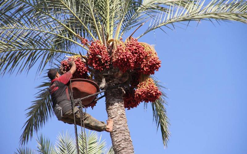 14516324_641672496002302_698699596645217743_n