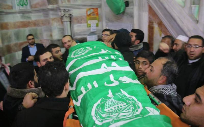 16839539_1274263462656774_1799849114_n