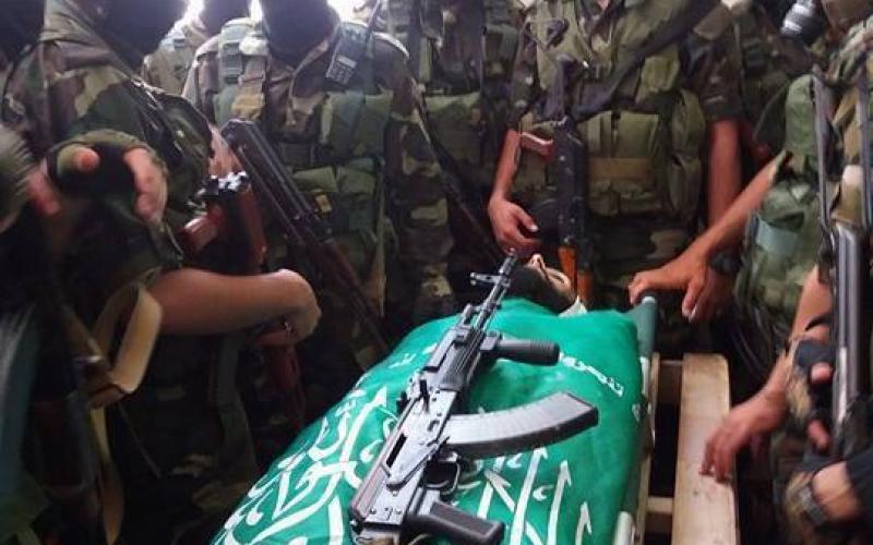 13925224_1227299477346951_6385081645007506166_n