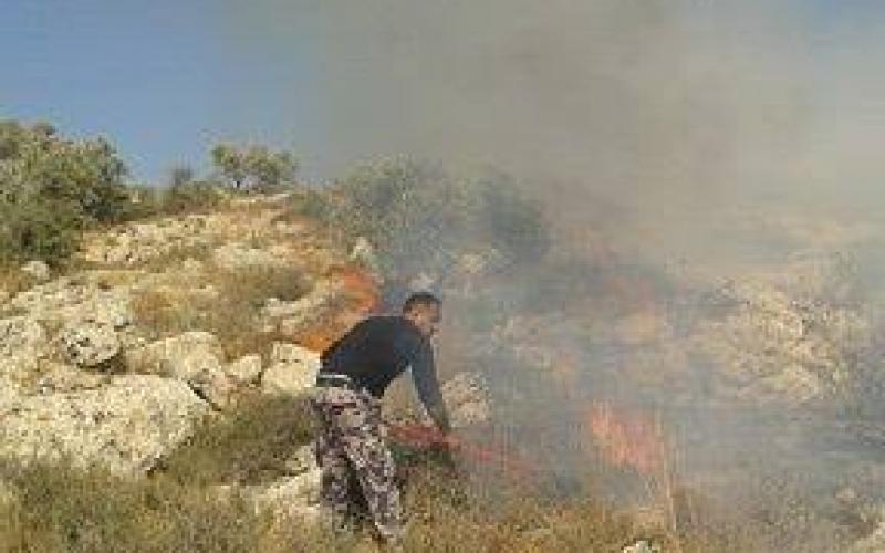 13530716_1269176699774060_575227169_n