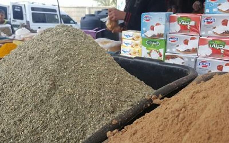 16837848_10212224364628382_417055020_n