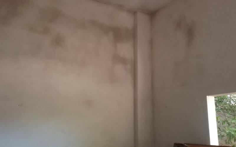 12494689_966686430081014_8528958902863672721_n