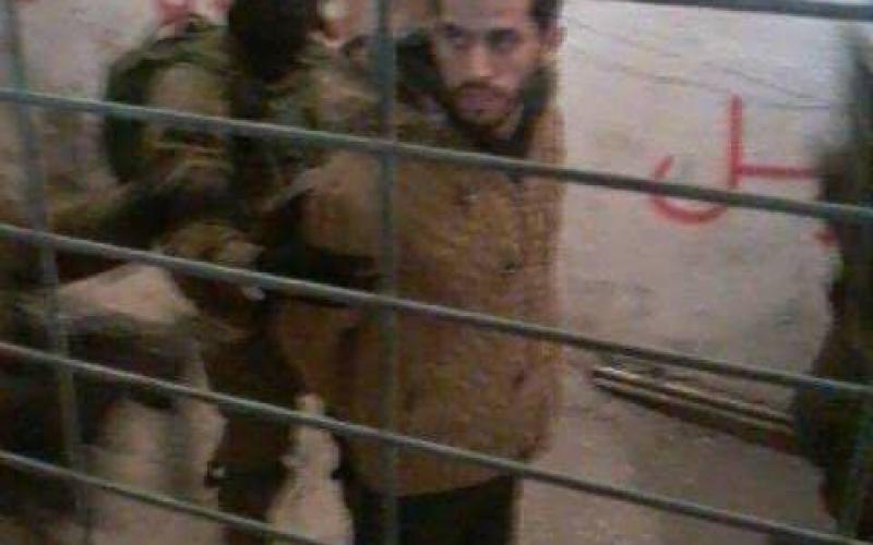 15935796_1316634168400438_551369313_n