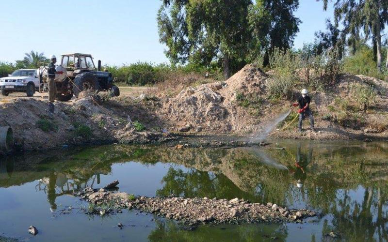 13087642_833701626773723_3108357443026678463_n