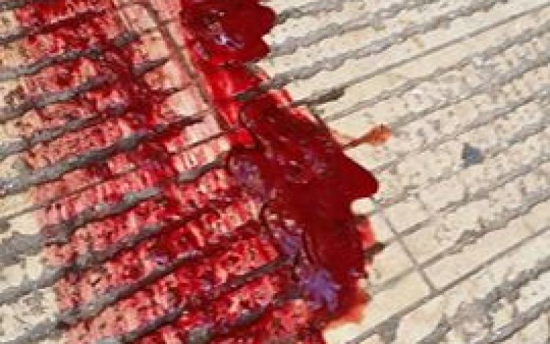 14079634_1498453663530382_832647941722172793_n