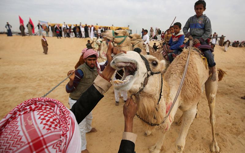 سباق الجمال في الإسماعيلية بمصر