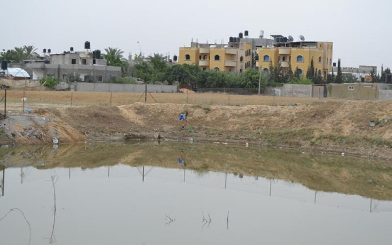 مكافحة البعوض في القرارة