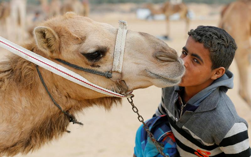 سباق الجمال في الإسماعيلية بمصر