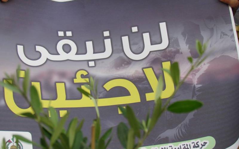 13177485_1041850942562271_6722065883057018502_n