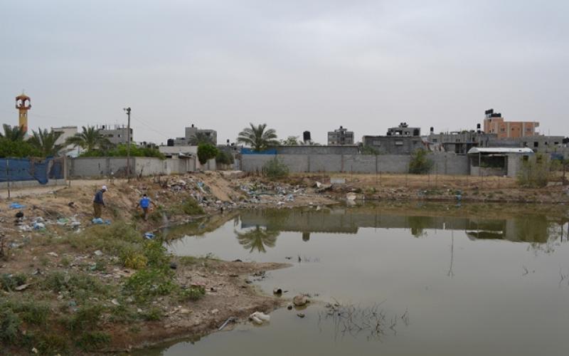 مكافحة البعوض في القرارة