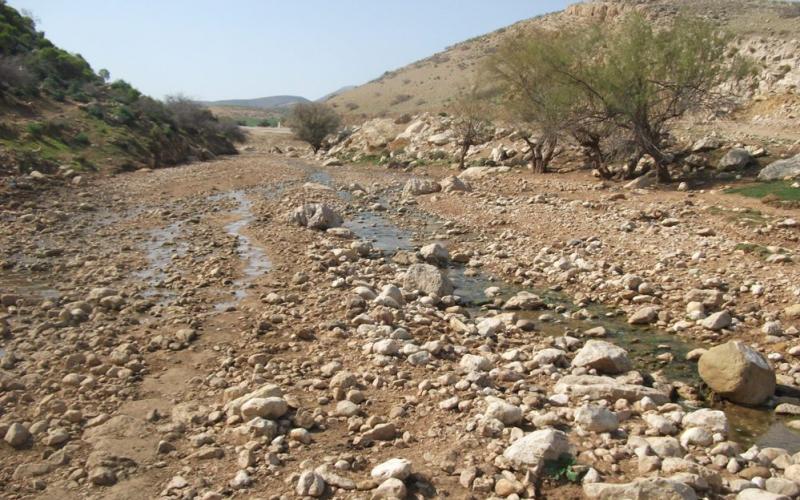 شح مياه من الاغوار