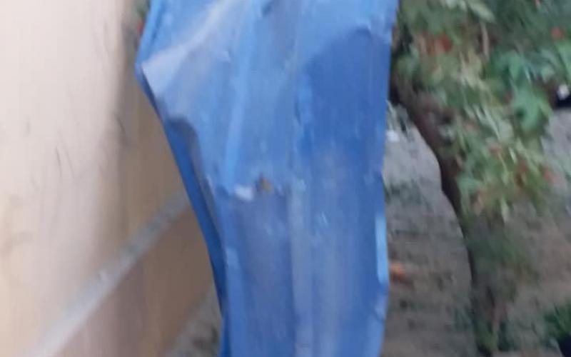 24993111_1988455848067776_7651550844263749838_n