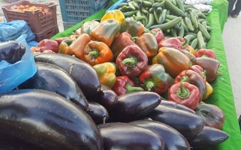 16830144_10212224359348250_74791925_n