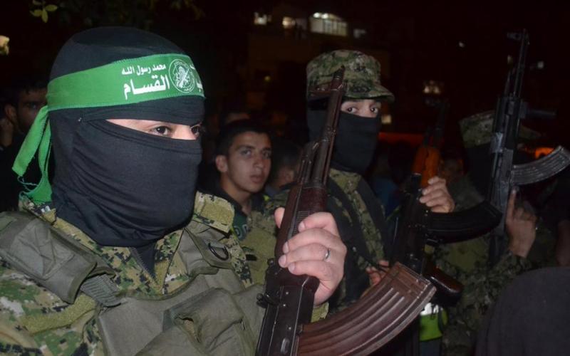 13006601_1705224769752122_1015028895360323368_n