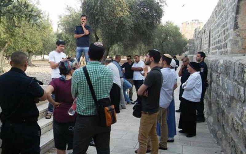 14045996_1507283175980764_4601170448387682633_n