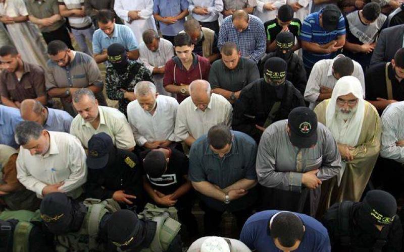 13510828_517522968441558_5652971979141172437_n