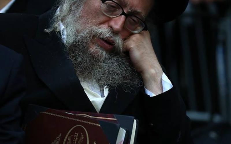 14469456_1560676717308076_3542082602891818740_n