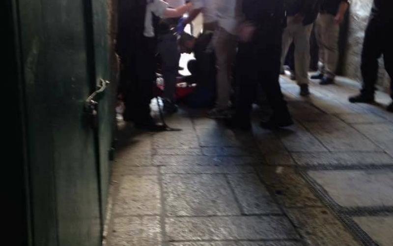 17629678_1291604880875584_1891825800379557133_n