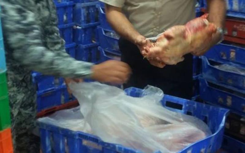 13413771_1177446085631178_4698059841210114449_n