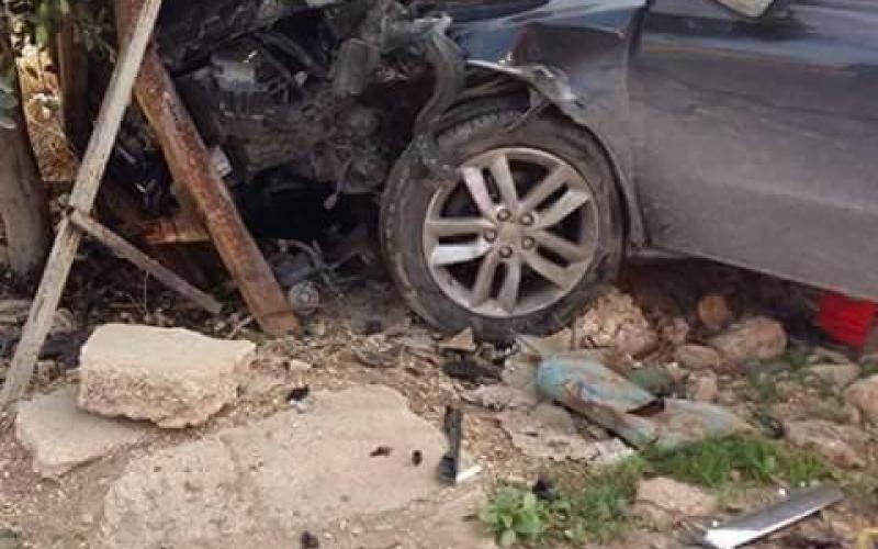 12249628_1244072775635140_4517471529870343559_n