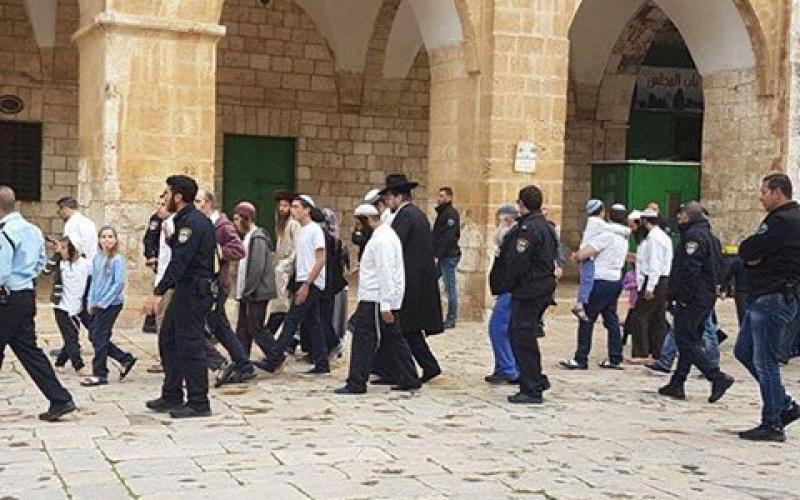 17883659_10154311234011746_1772580929107306514_n