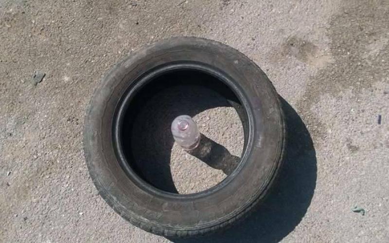 12767600_1135024446559645_219940279_n