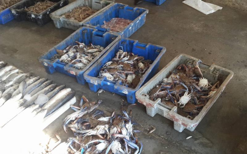 14522018_933210200156198_1322152086_o