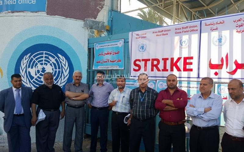 14585448_1167049566690012_543325541_n