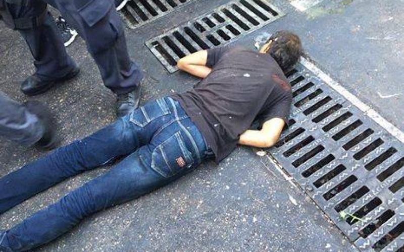 13565559_293688101021241_1007141372_n