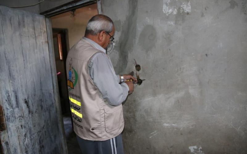 12246984_1654832061449691_5804575180398482459_n