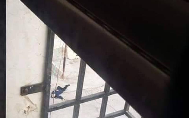 14264179_1551941178181630_6964042056185552757_n