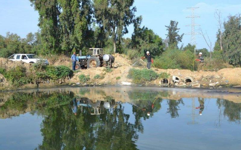 13094175_833701306773755_6965781723964888973_n