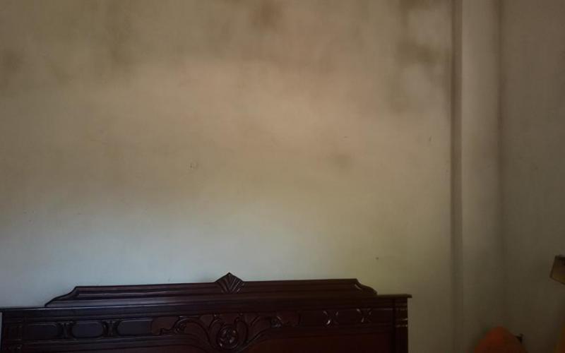 12494763_966686383414352_5142724458430542811_n