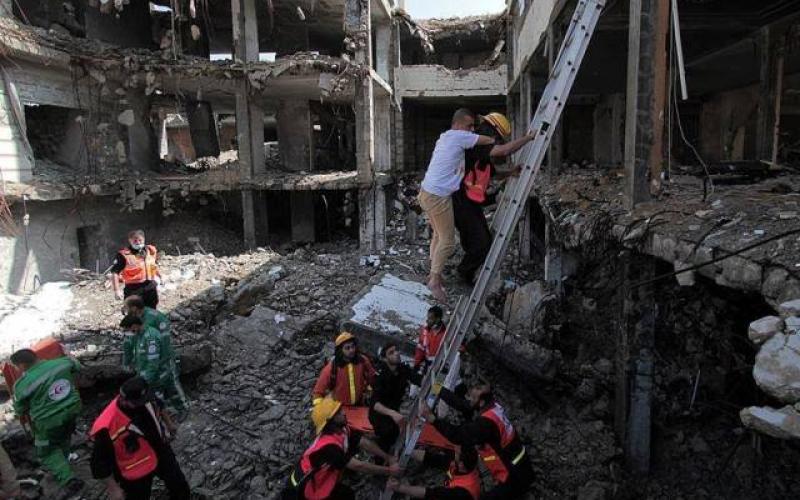 13055286_593116924187840_2141332107336775090_n