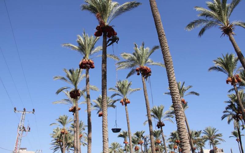 14462711_641672389335646_5447857138940528613_n