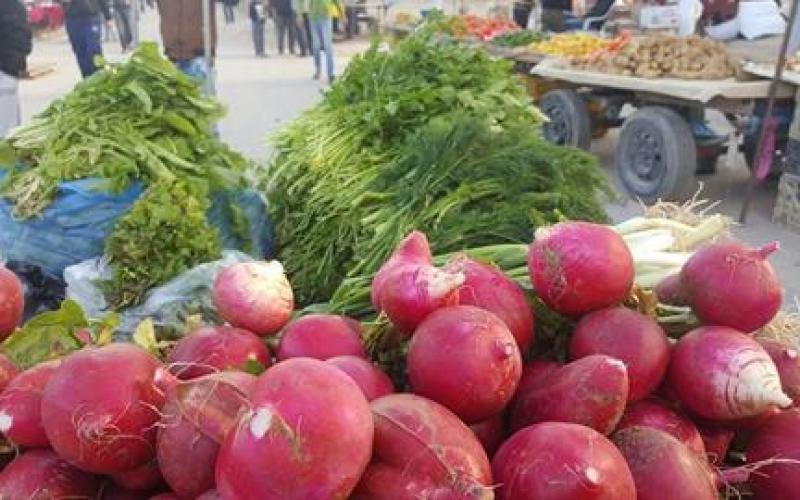 16830224_10212224360788286_1736289709_n