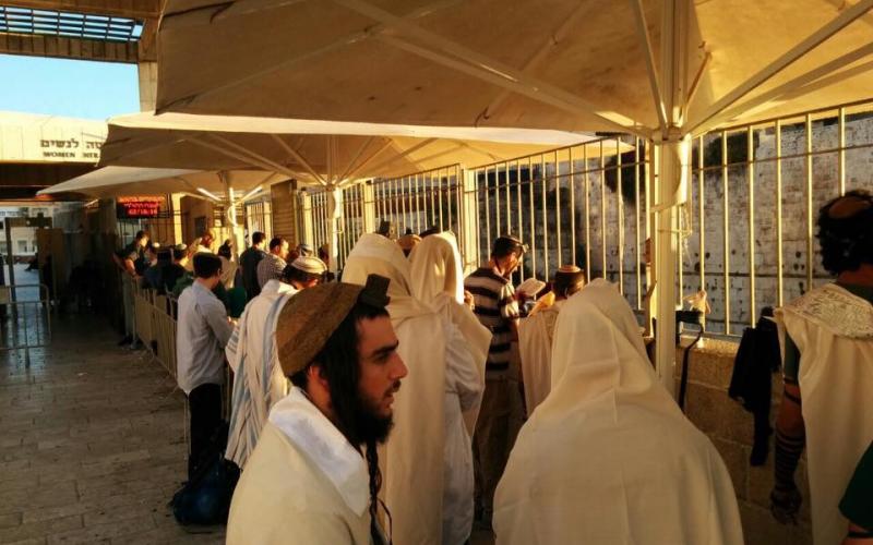 14590443_10153942419037621_5479644546664563804_n