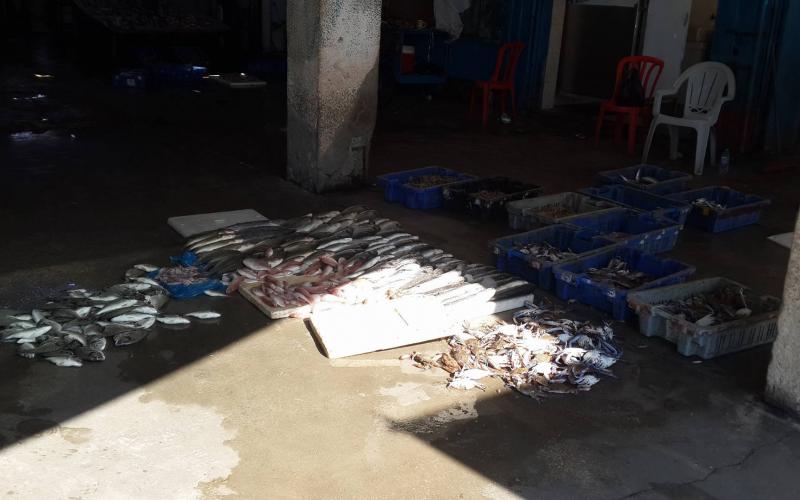 14550974_933210120156206_739257778_o