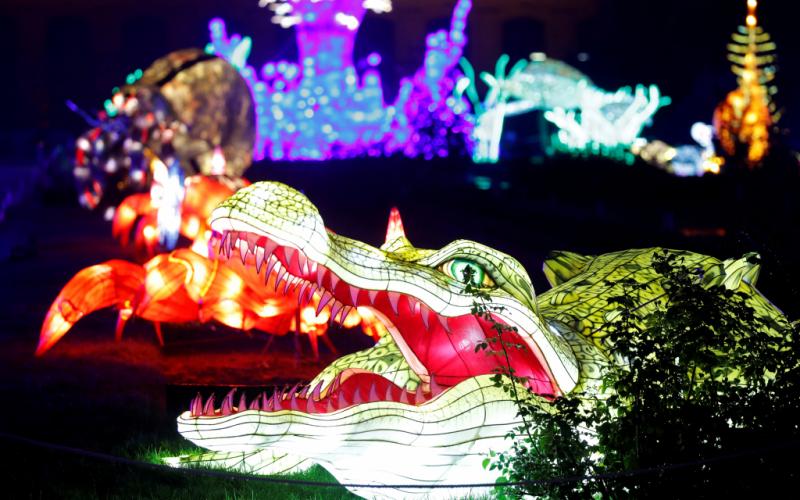 2019-11-15t192248z_1715037378_rc2vbd9z020t_rtrmadp_3_christmas-season-paris-lights-oceans-1024x683