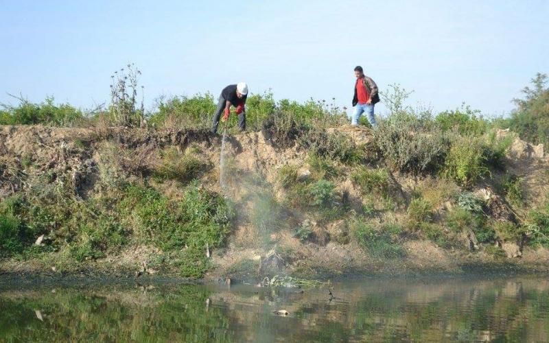 13007124_833701286773757_2670442688872924620_n