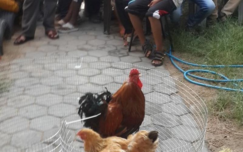 11999085_692458770888891_594796439970026187_n