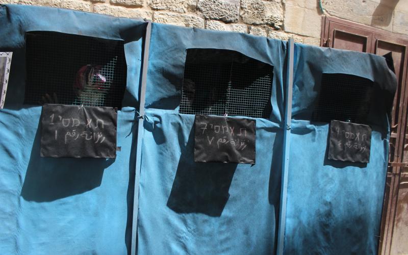 13063033_1005098009565484_7590880068665278787_o